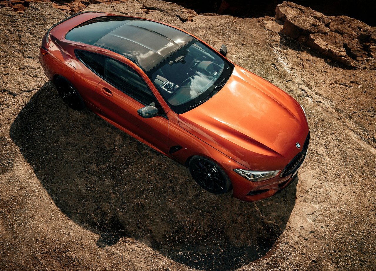 BMW 8 SERIES COUPE, foto 101