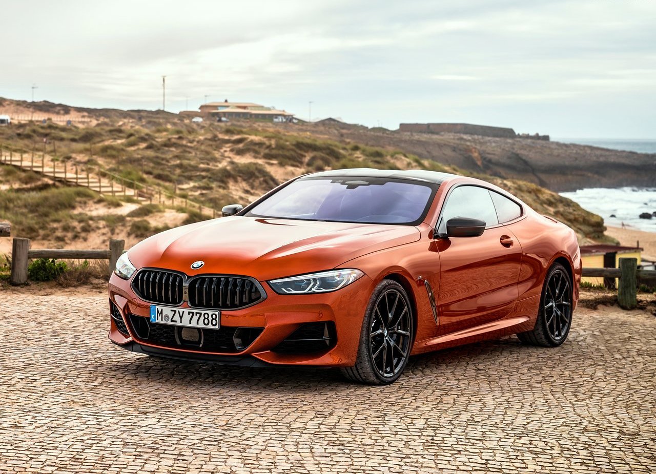 BMW 8 SERIES COUPE, foto 103
