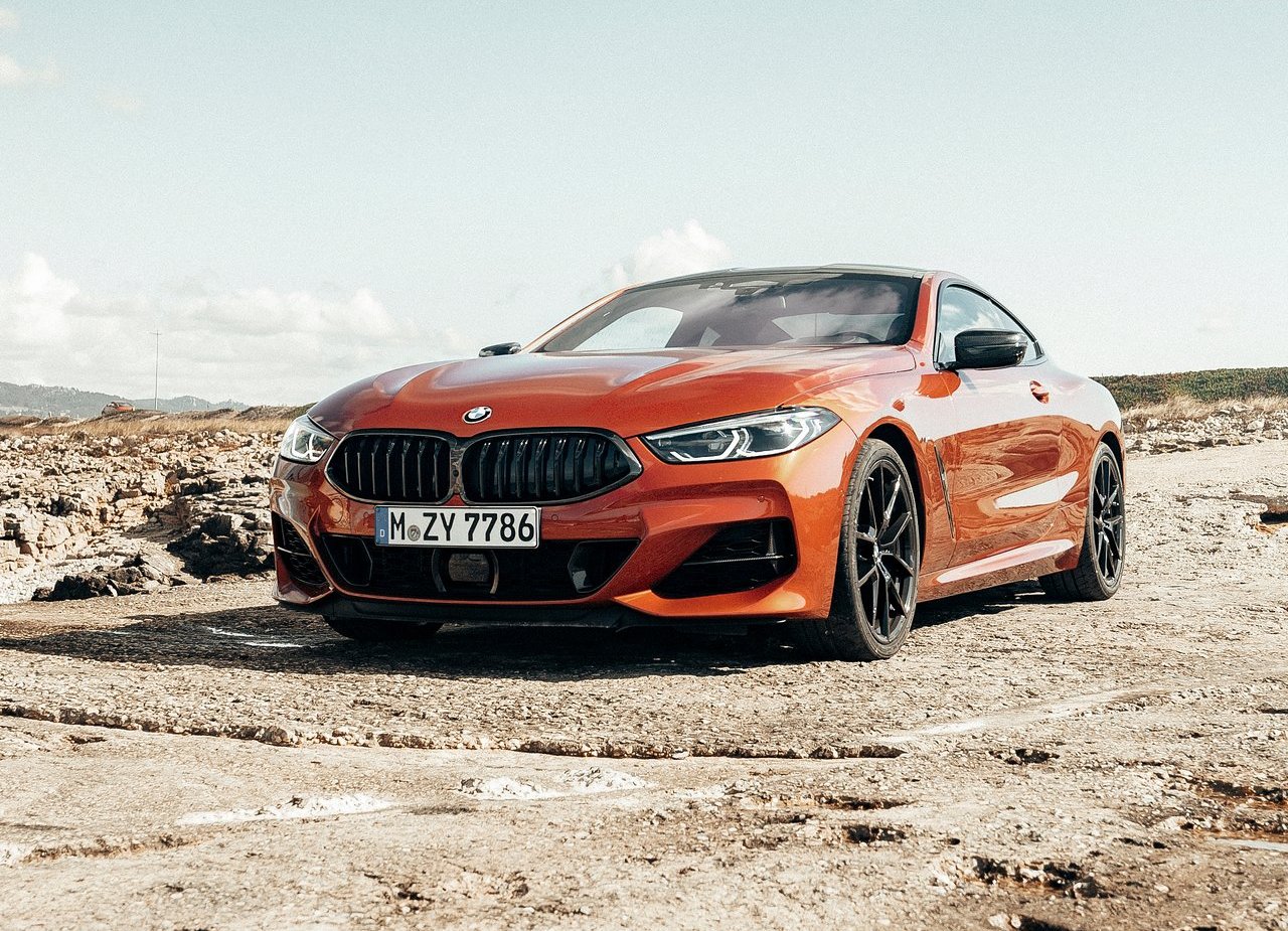 BMW 8 SERIES COUPE, foto 105