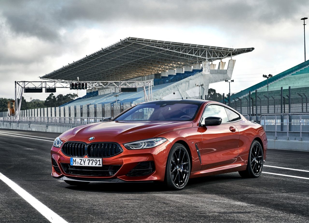 BMW 8 SERIES COUPE, foto 108
