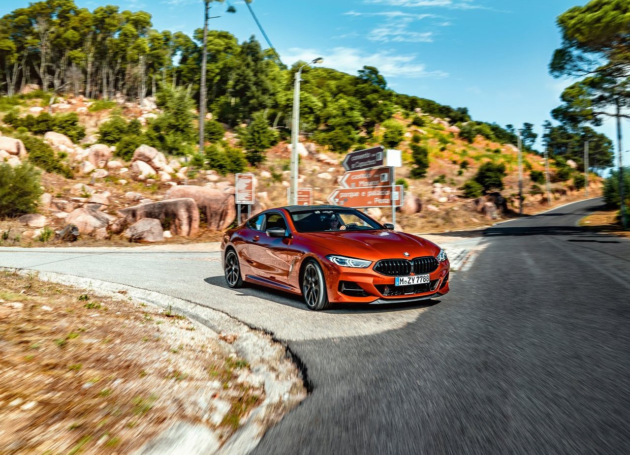 BMW 8 SERIES COUPE, foto 157