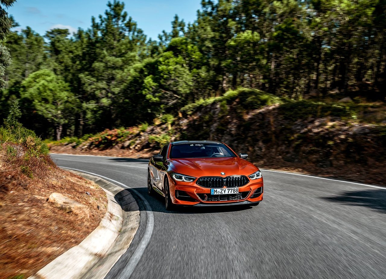 BMW 8 SERIES COUPE, foto 158