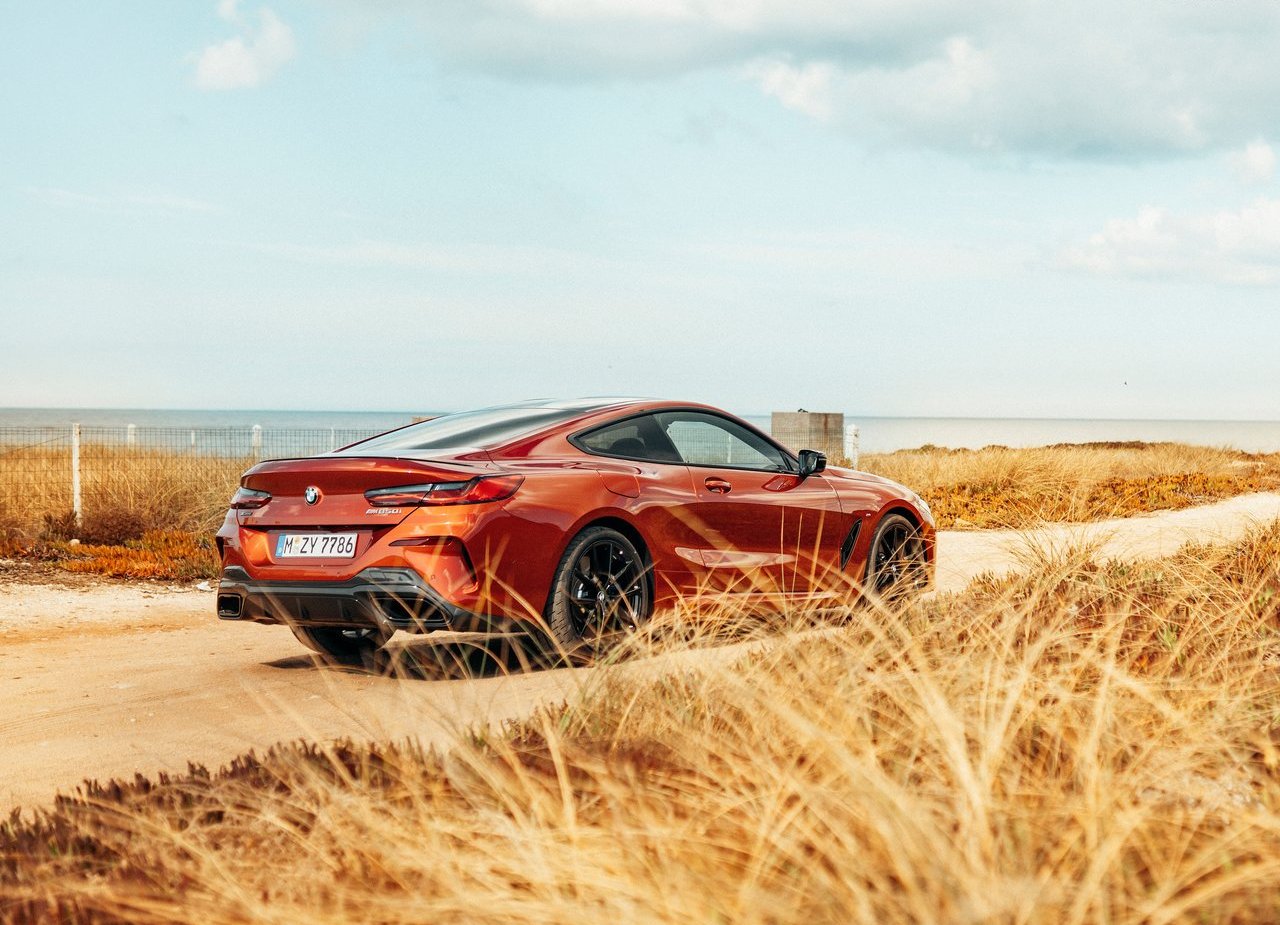 BMW 8 SERIES COUPE, foto 185