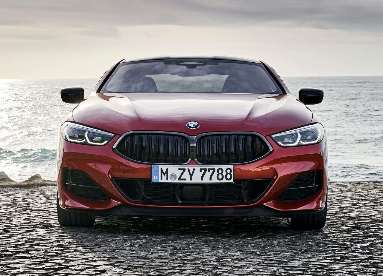 BMW 8 SERIES COUPE, foto 202