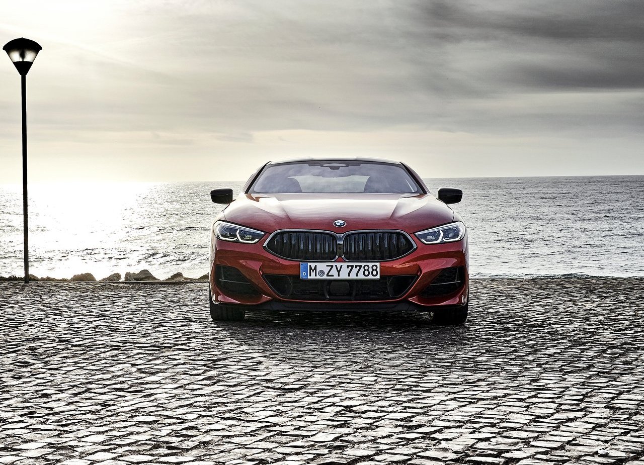 BMW 8 SERIES COUPE, foto 204
