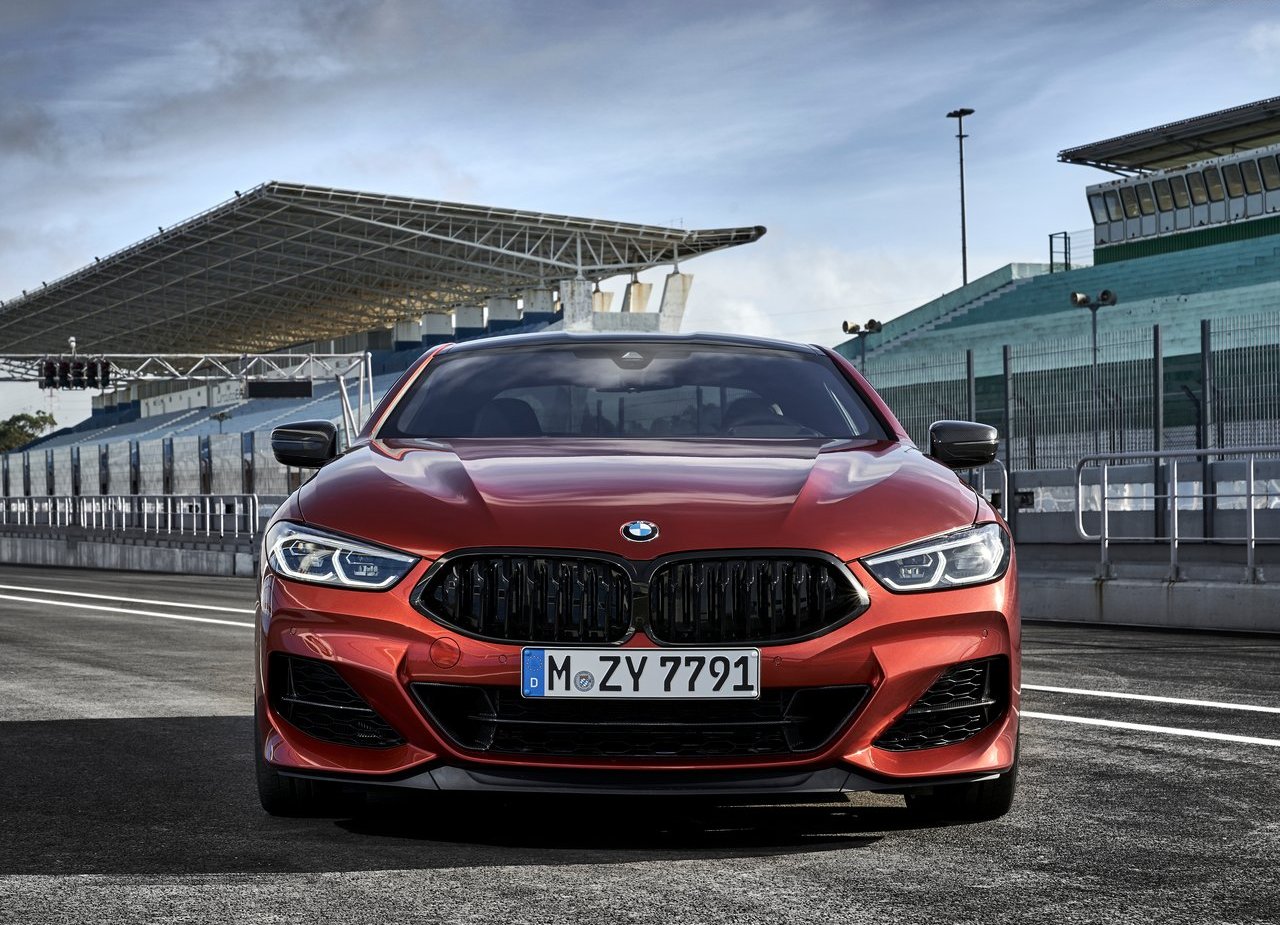 BMW 8 SERIES COUPE, foto 205