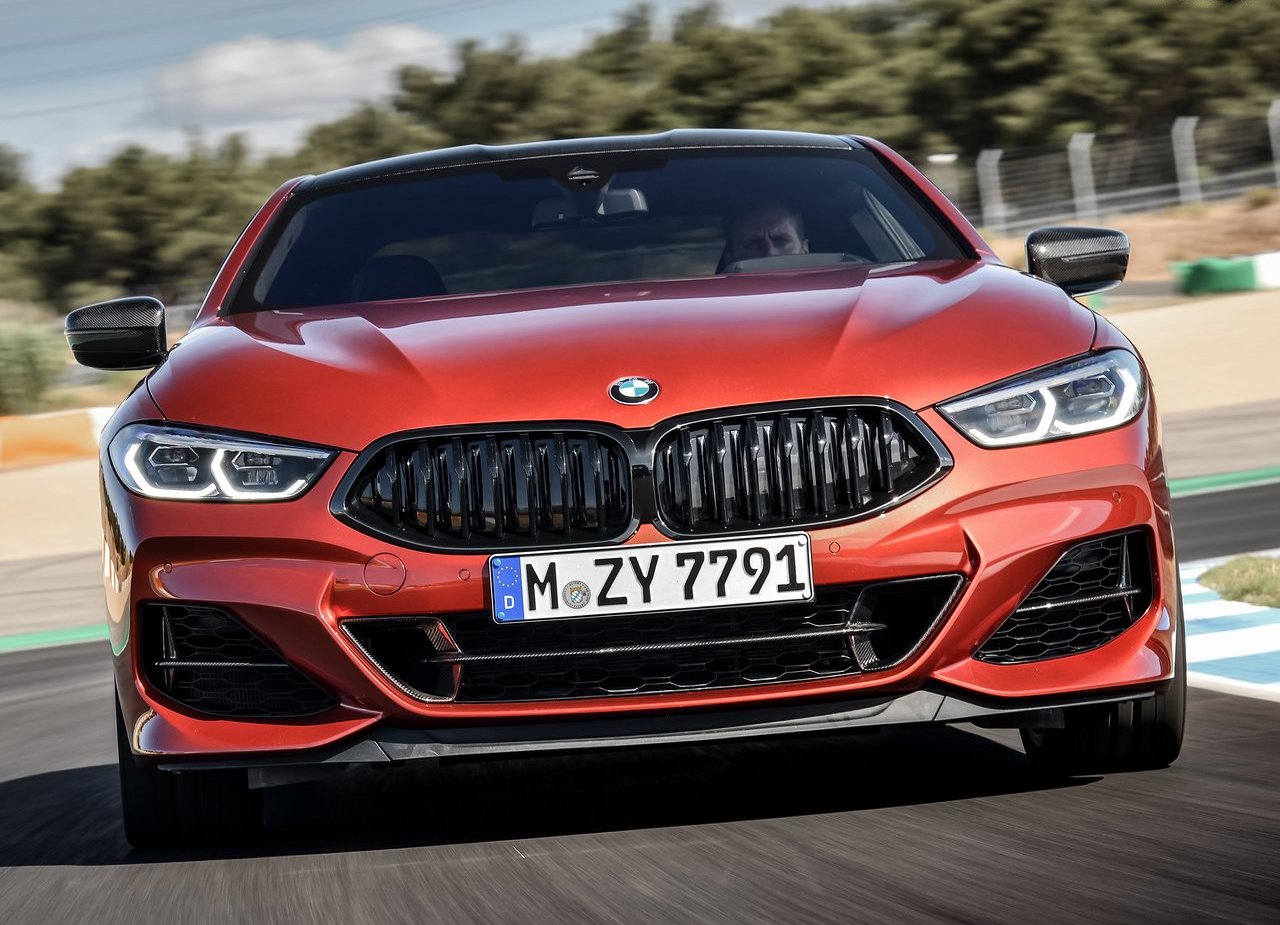 BMW 8 SERIES COUPE, foto 209