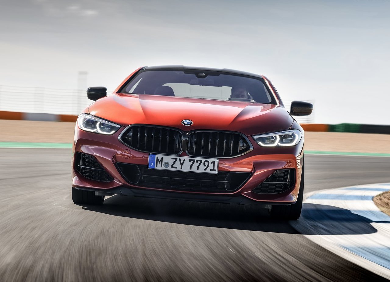 BMW 8 SERIES COUPE, foto 210