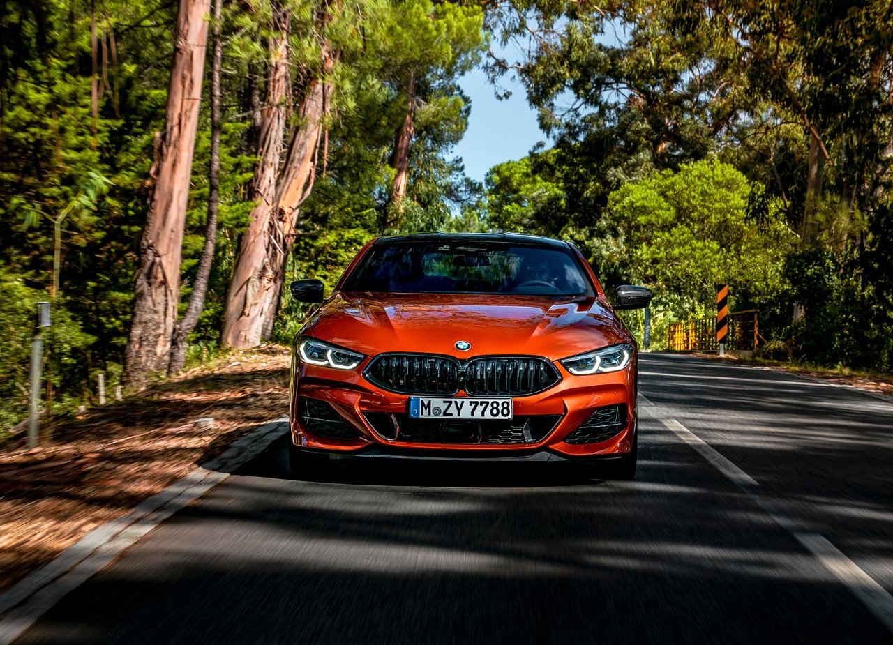 BMW 8 SERIES COUPE, foto 211