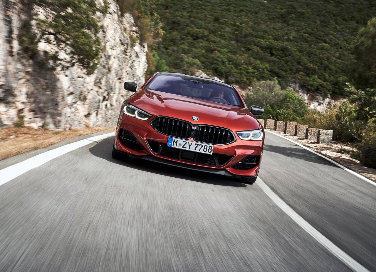BMW 8 SERIES COUPE, foto 212