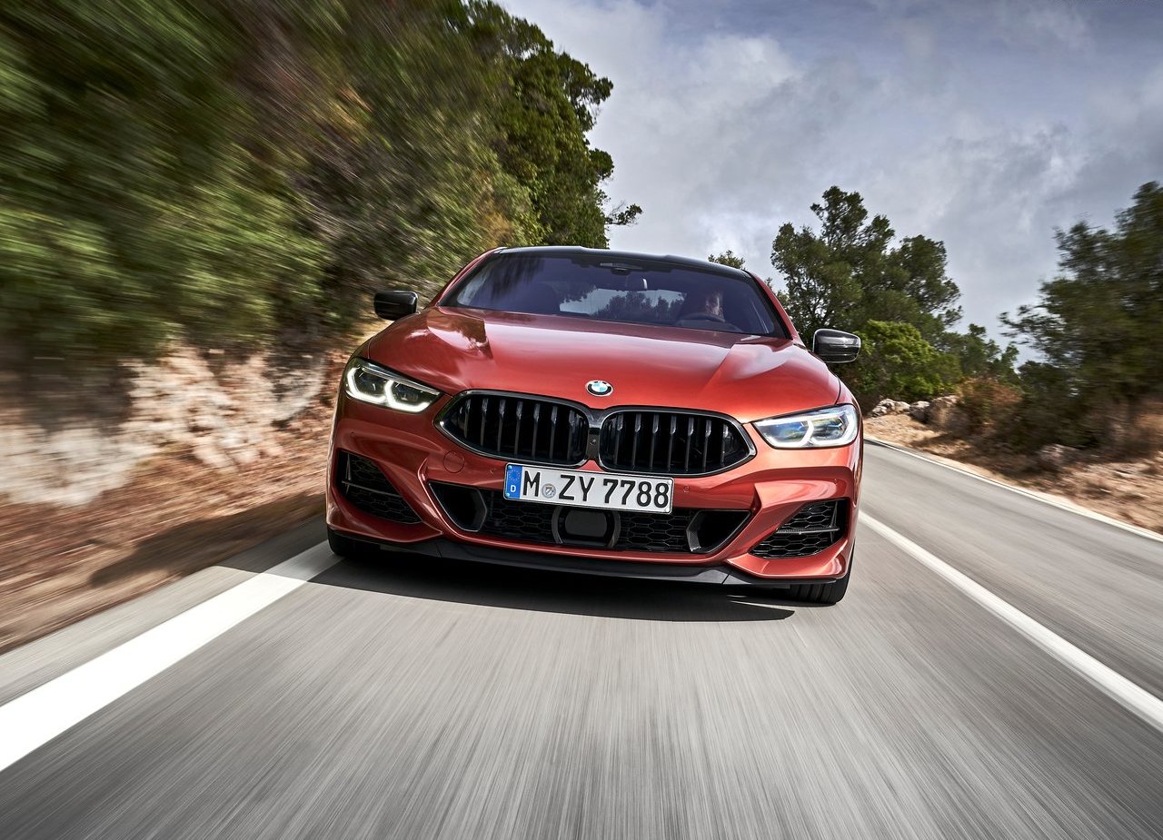 BMW 8 SERIES COUPE, foto 213