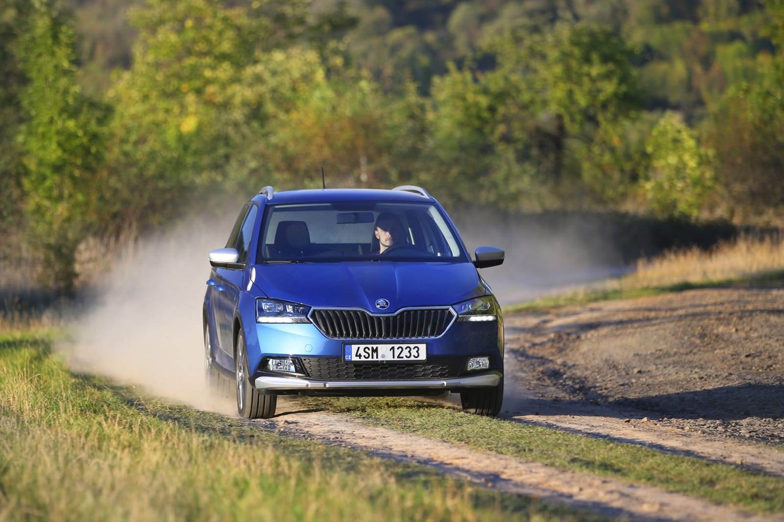 2019 - SKODA FABIA COMBI SCOUTLINE, foto 4