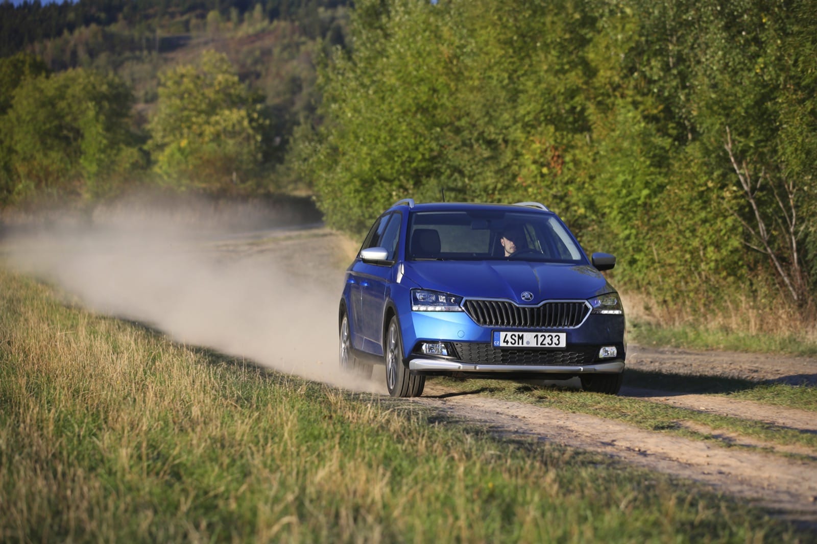 2019 - SKODA FABIA COMBI SCOUTLINE, foto 10