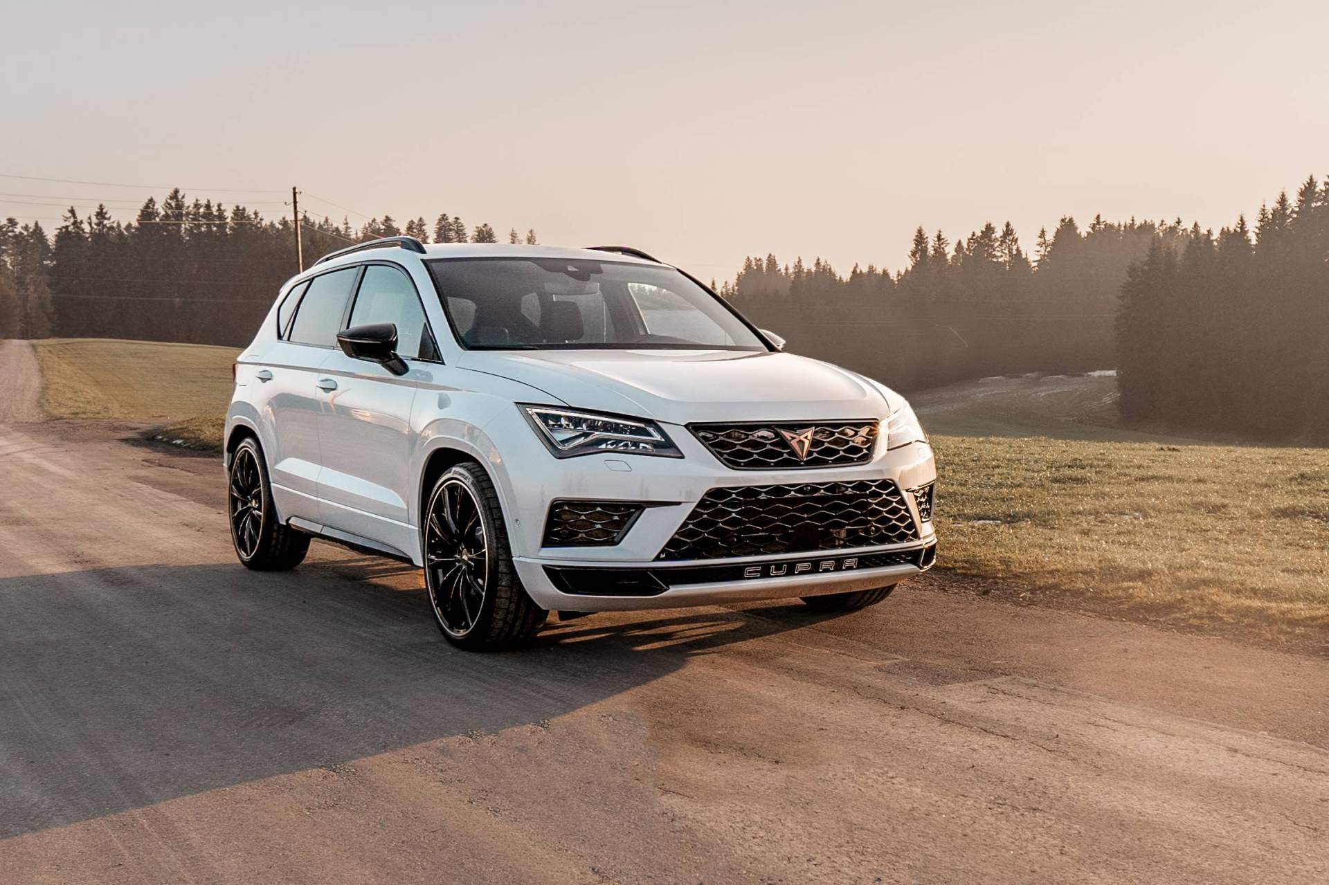 2019 - CUPRA ATECA BY ABT SPORTSLINE, foto 1