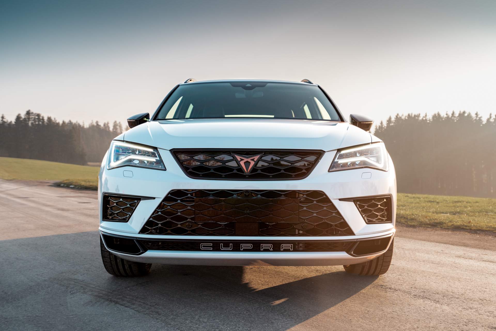 2019 - CUPRA ATECA BY ABT SPORTSLINE, foto 2