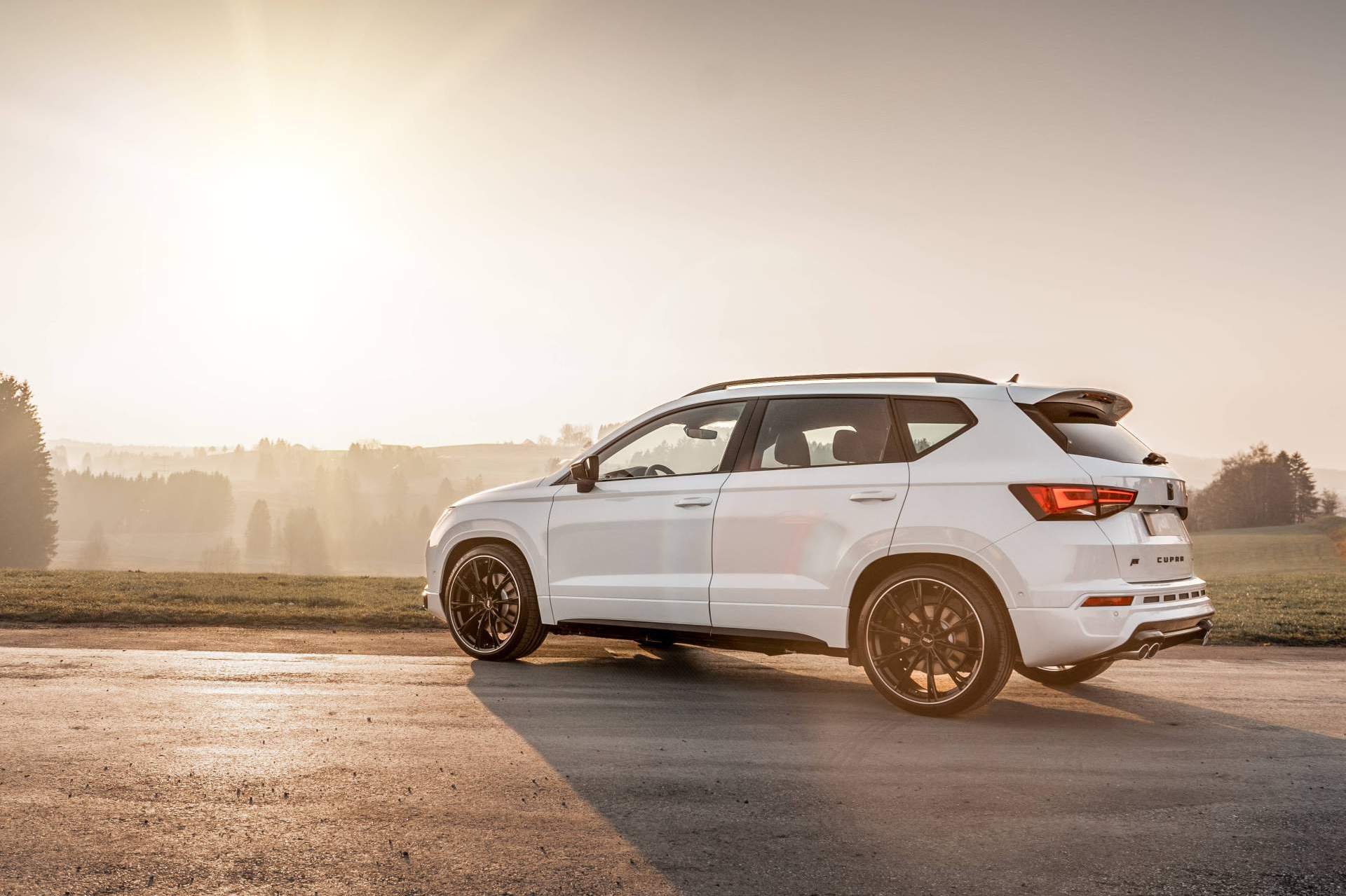 2019 - CUPRA ATECA BY ABT SPORTSLINE, foto 5
