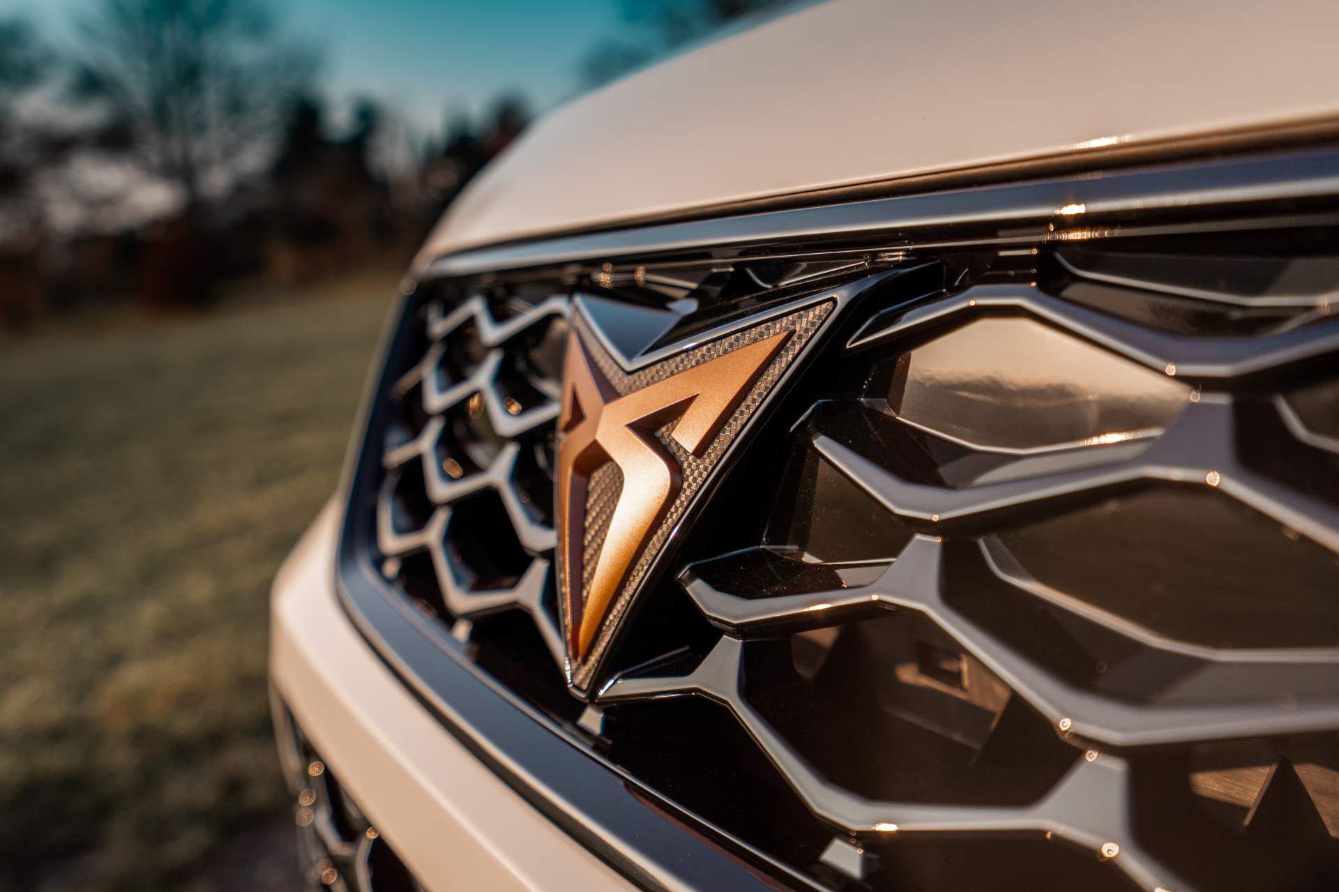 2019 - CUPRA ATECA BY ABT SPORTSLINE, foto 9