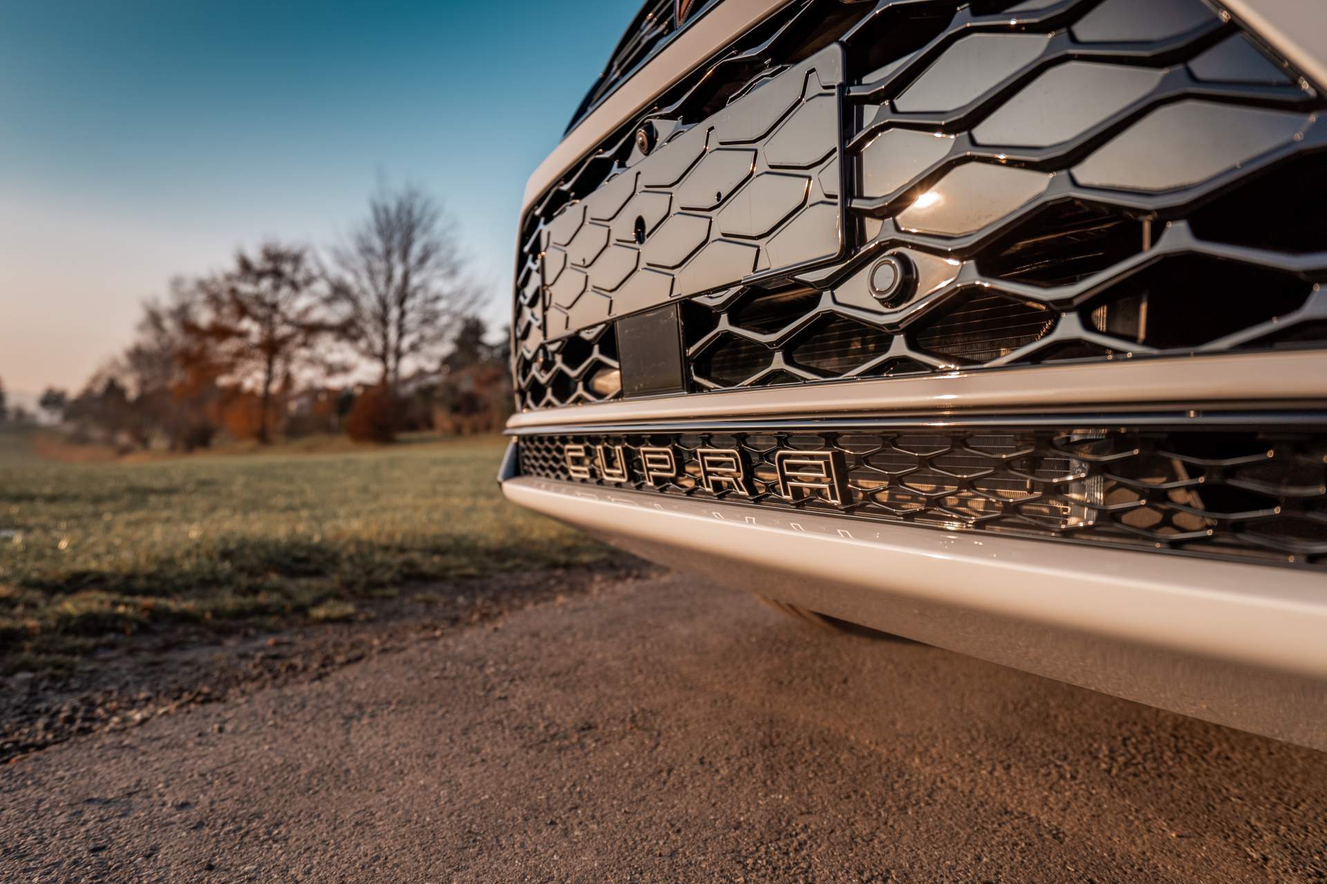2019 - CUPRA ATECA BY ABT SPORTSLINE, foto 11