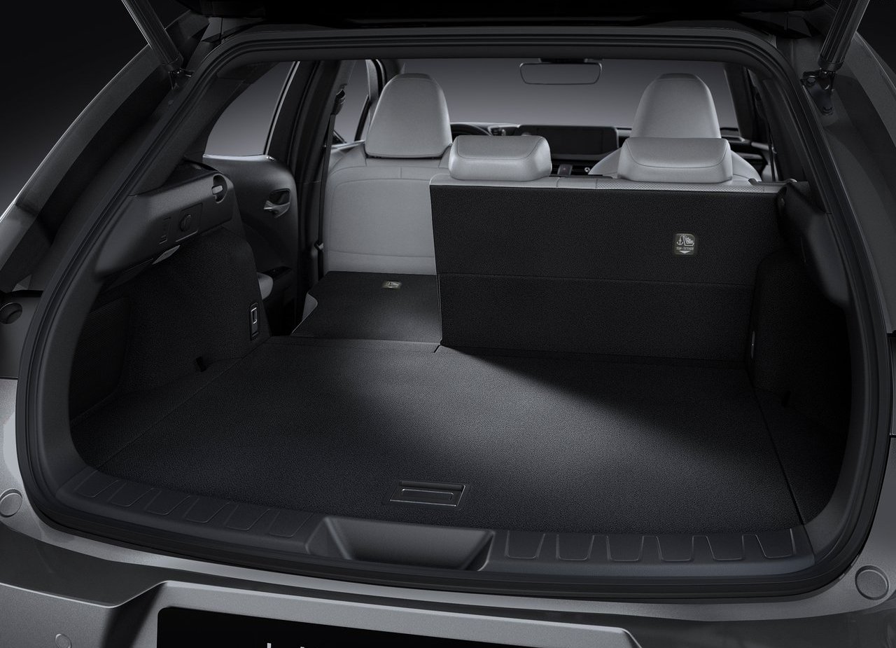 2019 - LEXUS UX, foto 178