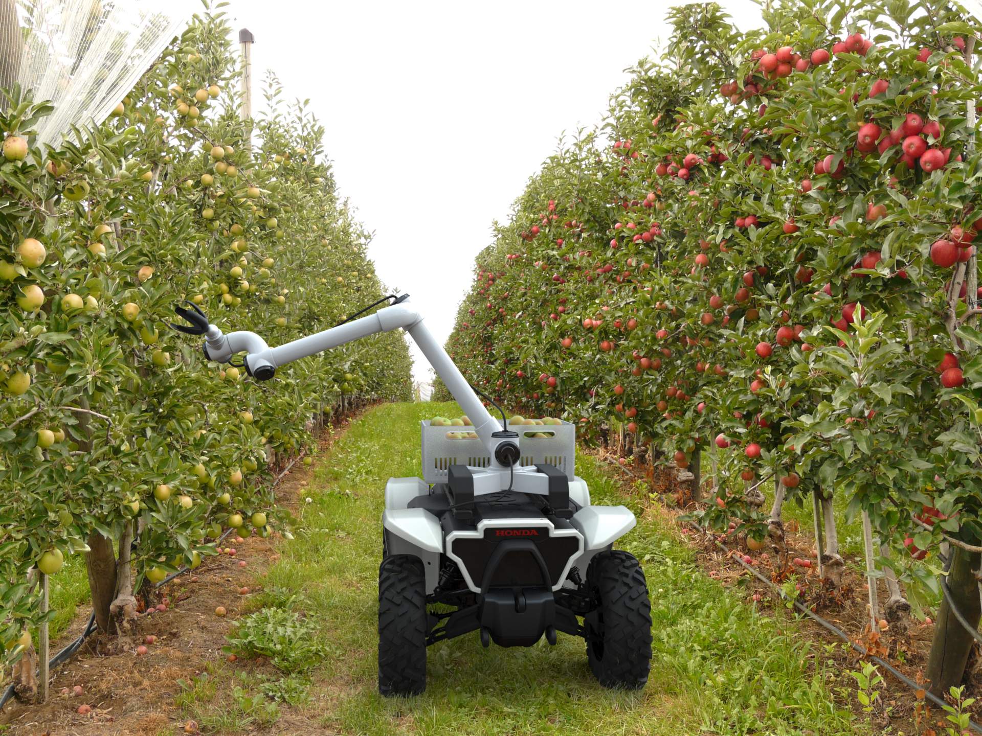 2019 - HONDA AUTONOMOUS WORK VEHICLE, foto 5
