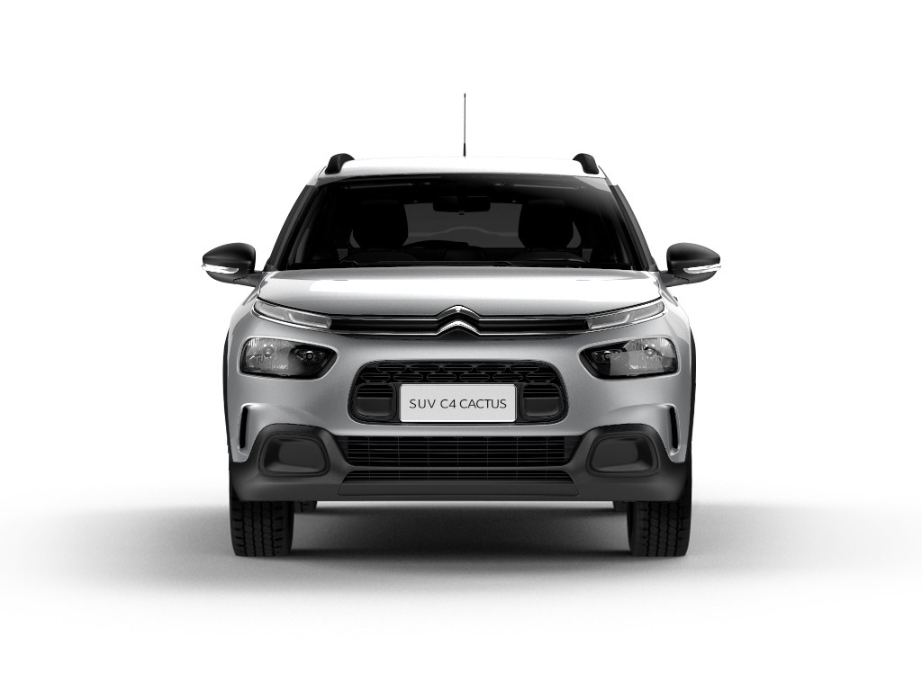 2019 - CITROËN C4 CACTUS FEEL BUSINESS, foto 2