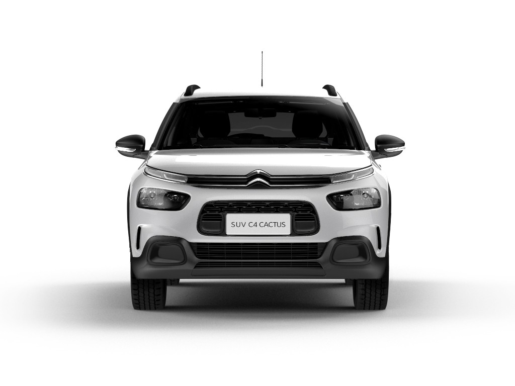 2019 - CITROËN C4 CACTUS FEEL BUSINESS, foto 7