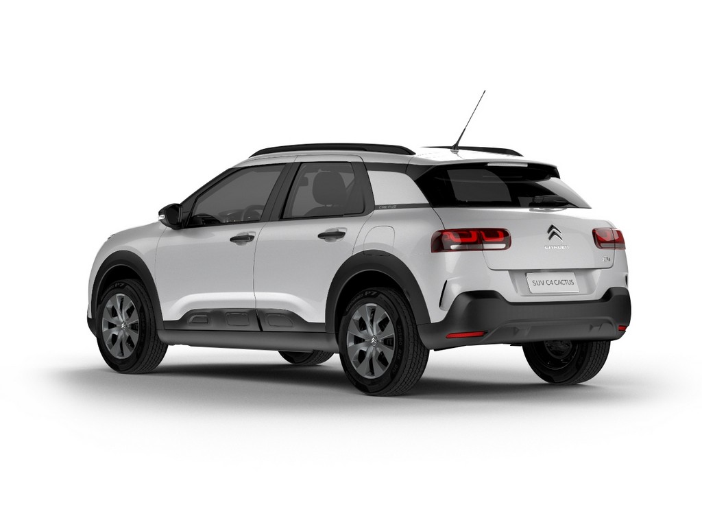 2019 - CITROËN C4 CACTUS FEEL BUSINESS, foto 9