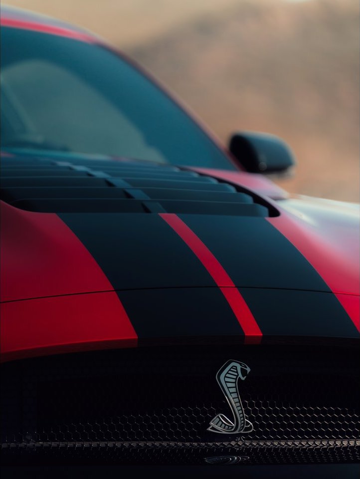 FORD MUSTANG SHELBY GT500, foto 85