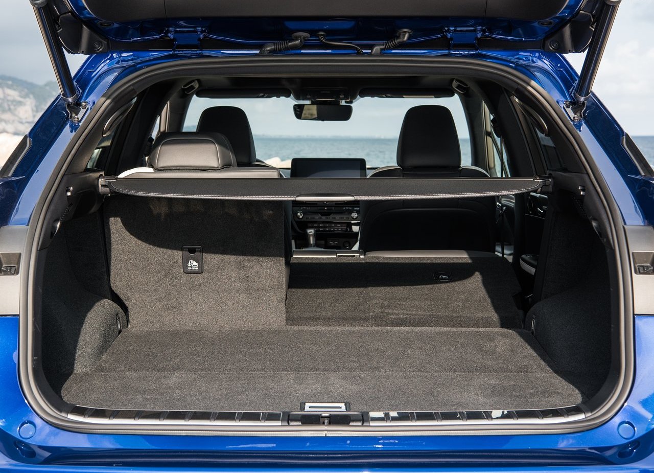 2020 - LEXUS RX, foto 155
