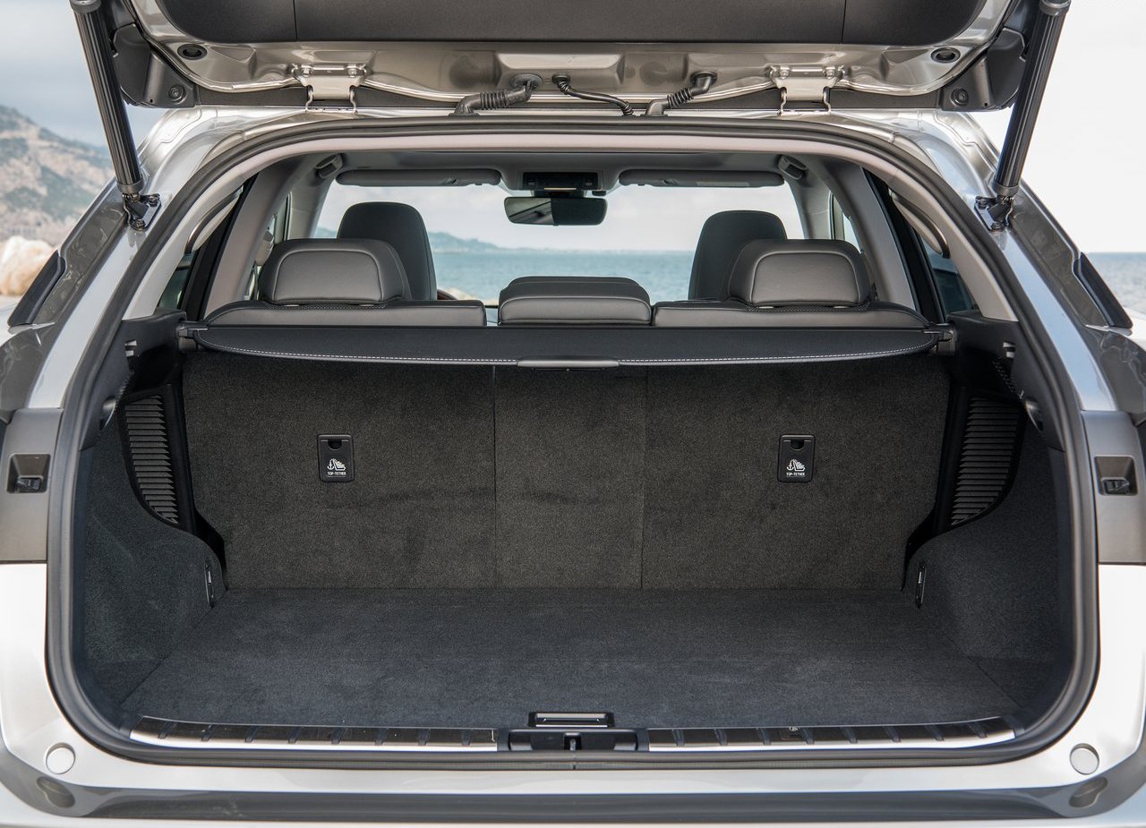 2020 - LEXUS RX, foto 160