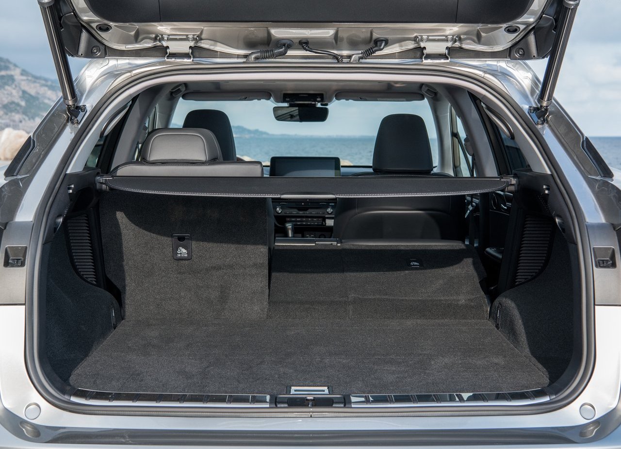 2020 - LEXUS RX, foto 161