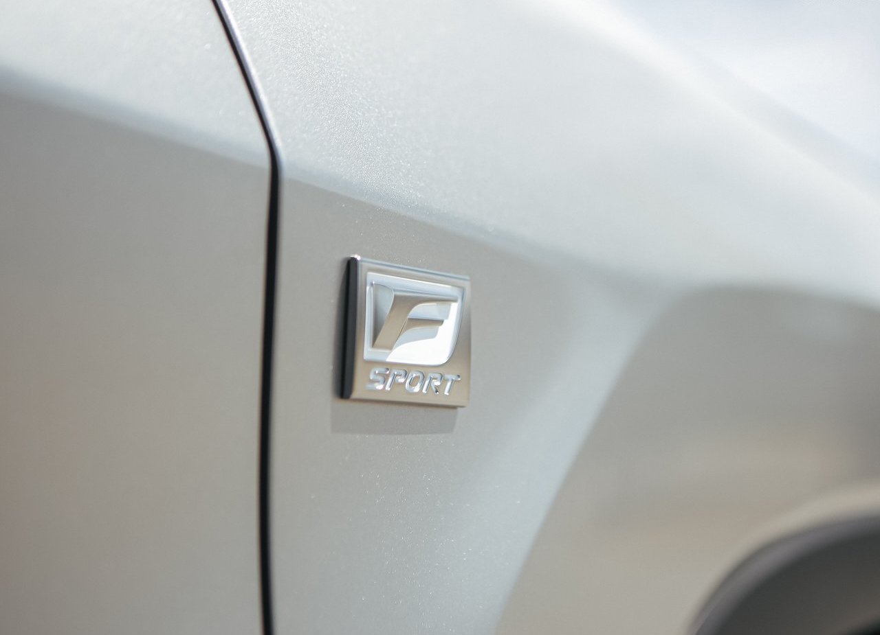 2020 - LEXUS RX, foto 181