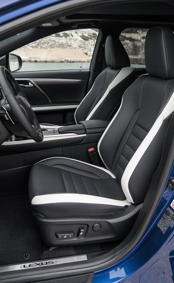 2020 - LEXUS RX, foto 190