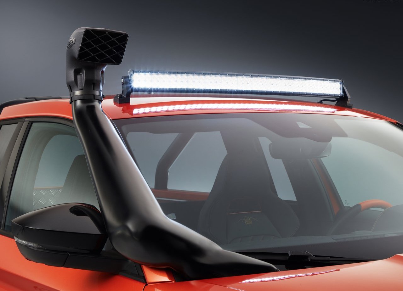 2019 - SKODA MOUNTIAQ CONCEPT, foto 12