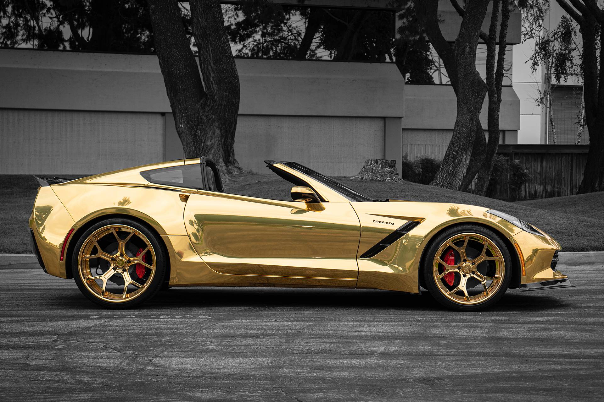 2019 - CHEVROLET CORVETTE BY TS DESIGNS & FORGIATO, foto 4