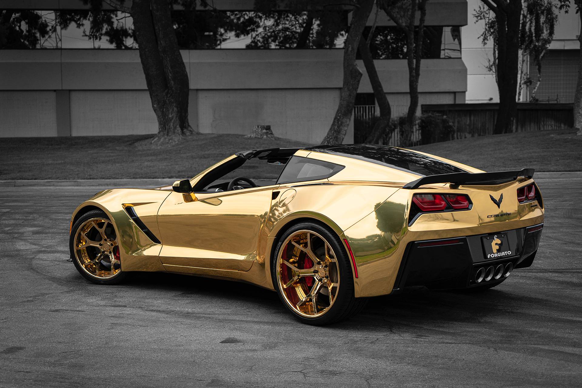 2019 - CHEVROLET CORVETTE BY TS DESIGNS & FORGIATO, foto 5