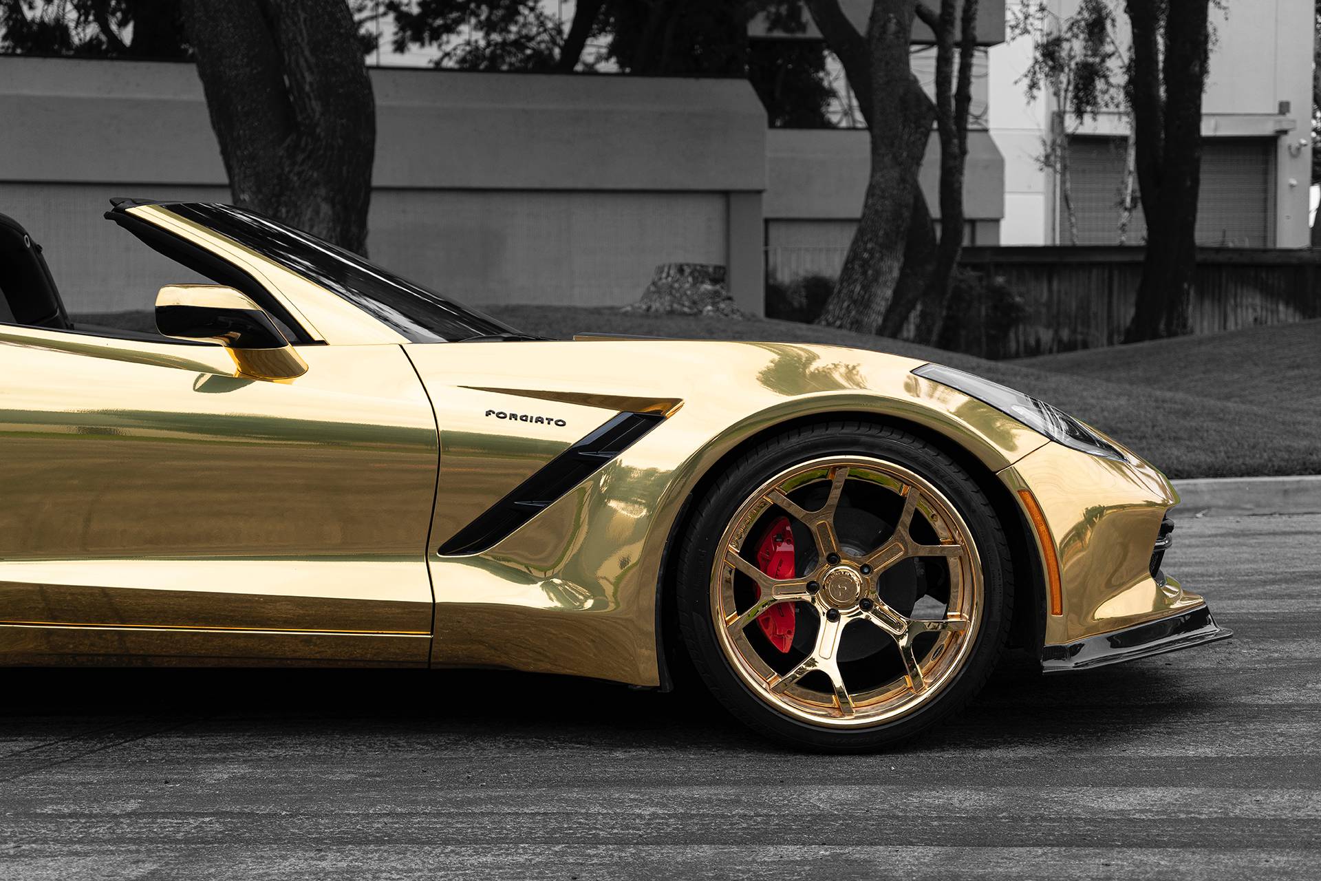 2019 - CHEVROLET CORVETTE BY TS DESIGNS & FORGIATO, foto 7