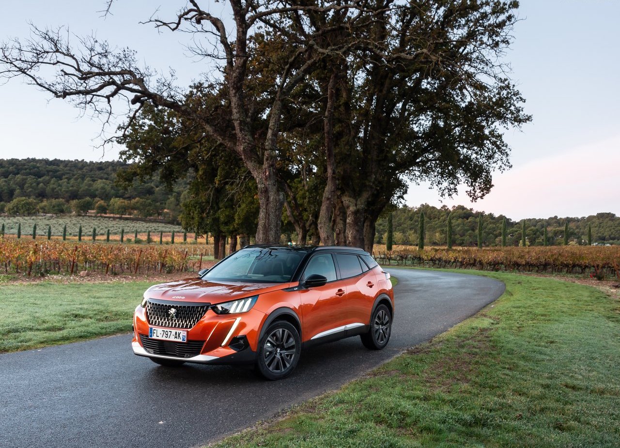 2020 - PEUGEOT 2008, foto 12