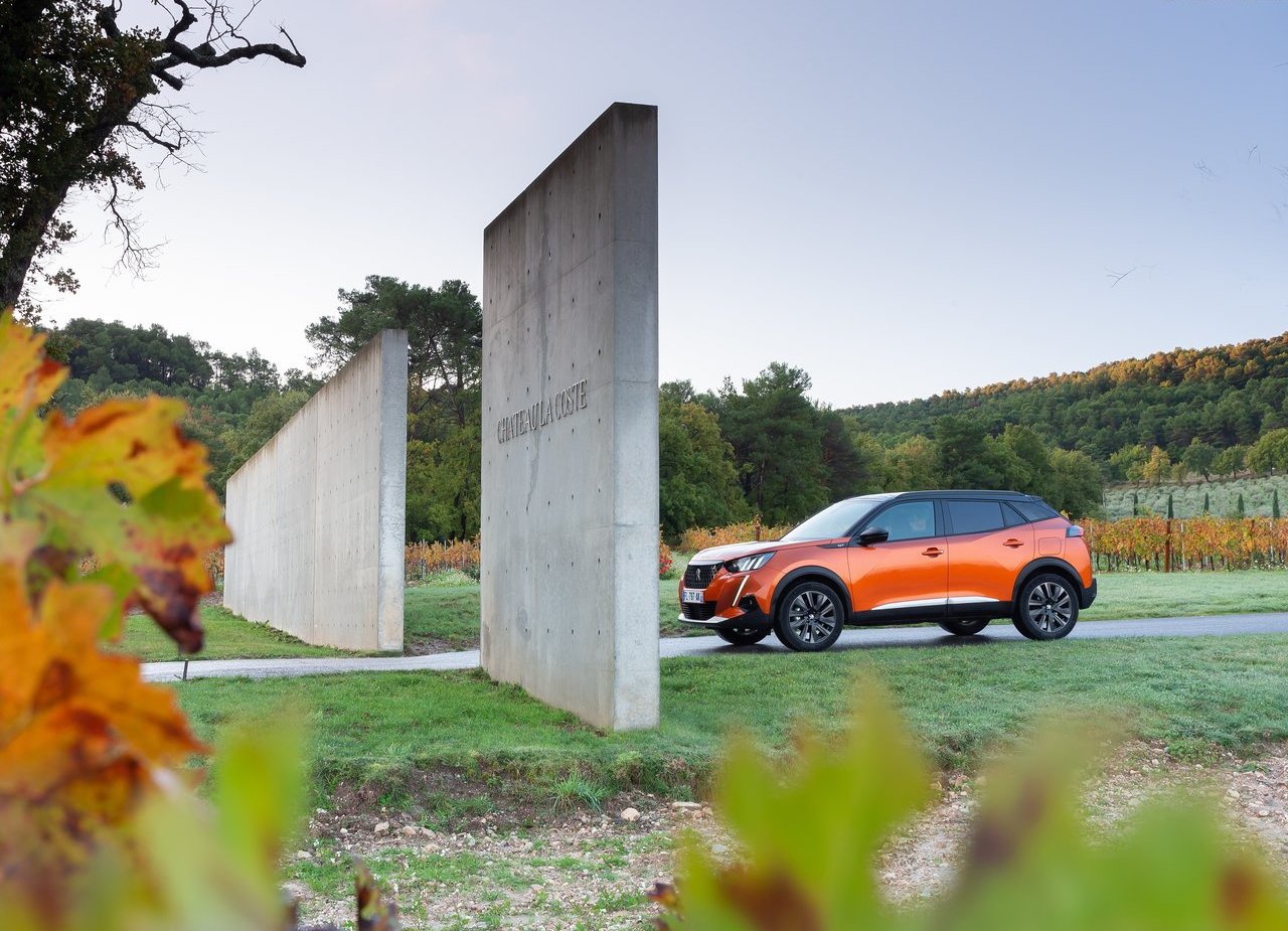 2020 - PEUGEOT 2008, foto 15
