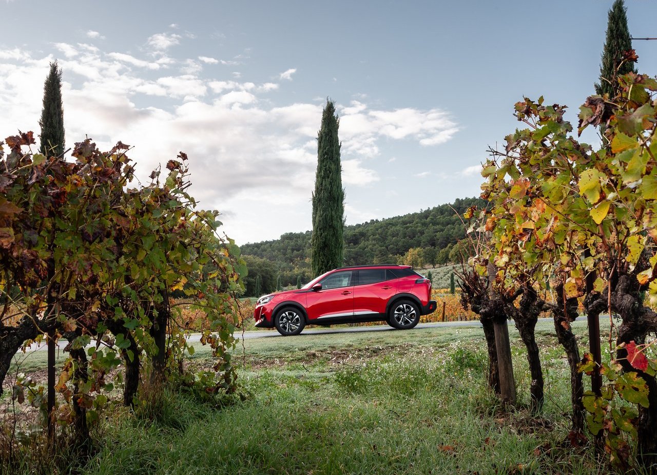 2020 - PEUGEOT 2008, foto 92