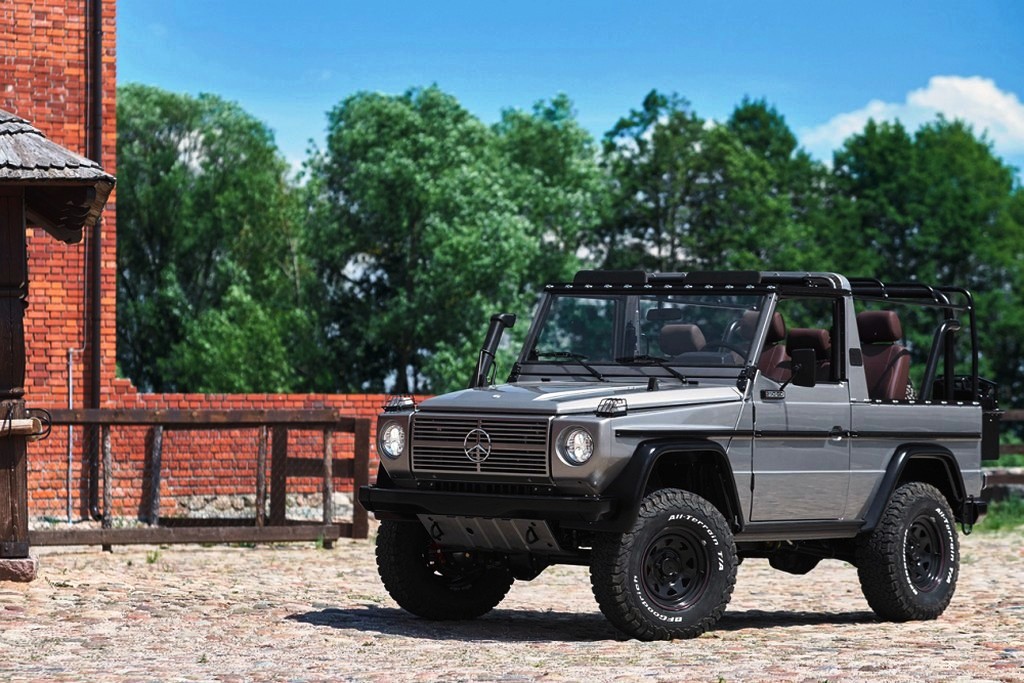 MERCEDES-BENZ 250 GD BY EMC, foto 1