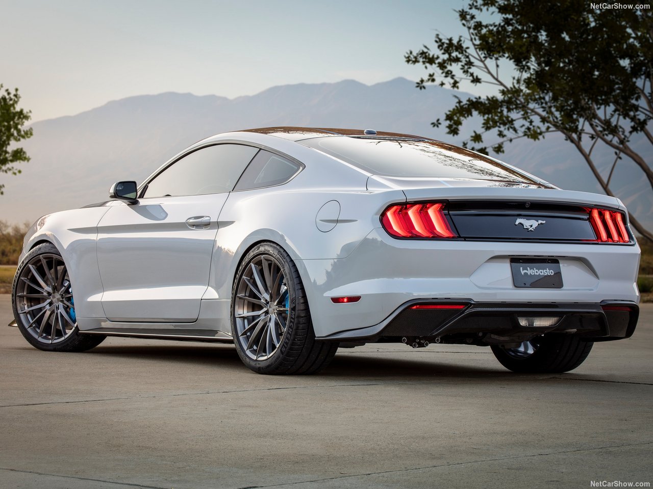 2019 - FORD MUSTANG LITHIUM EV, foto 2