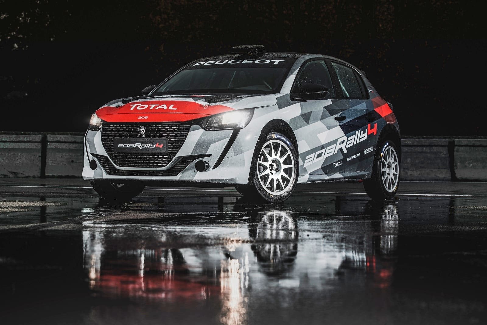 PEUGEOT 208 RALLY 4, foto 1