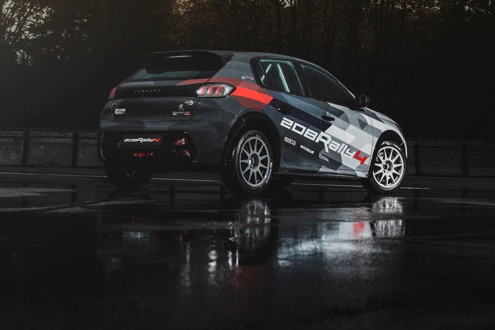 PEUGEOT 208 RALLY 4, foto 2