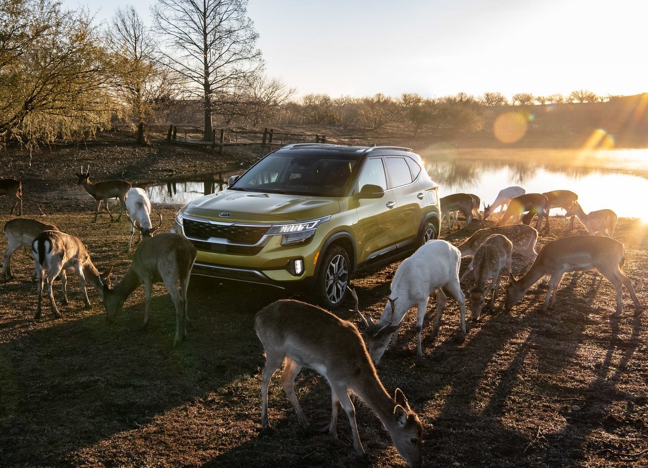 2021 - KIA SELTOS, foto 5