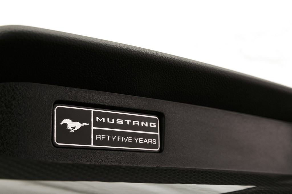 2020 - FORD MUSTANG BLACK SHADOW, foto 37