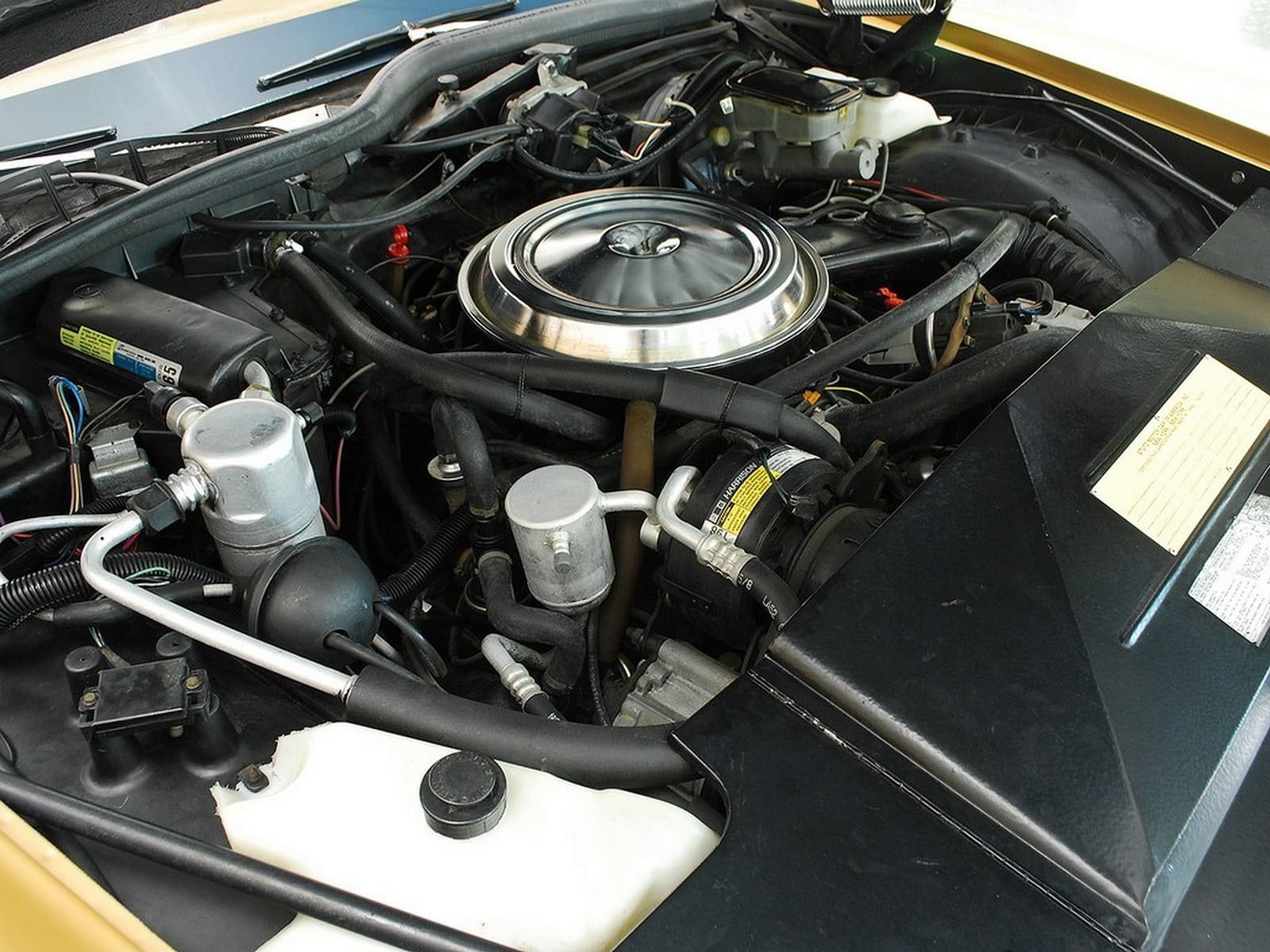 1985 - STUTZ BLACKHAWK GOLD, foto 5