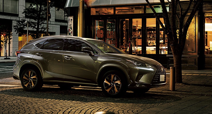 2020 - LEXUS NX BRONZE SPECIAL EDITION, foto 2