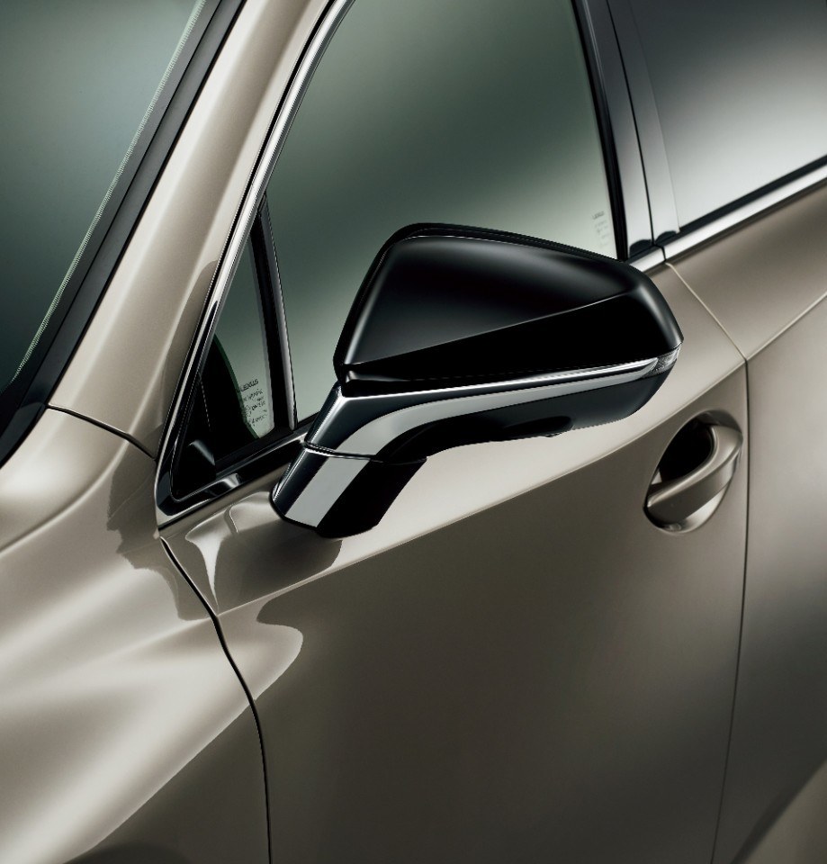 2020 - LEXUS NX BRONZE SPECIAL EDITION, foto 5