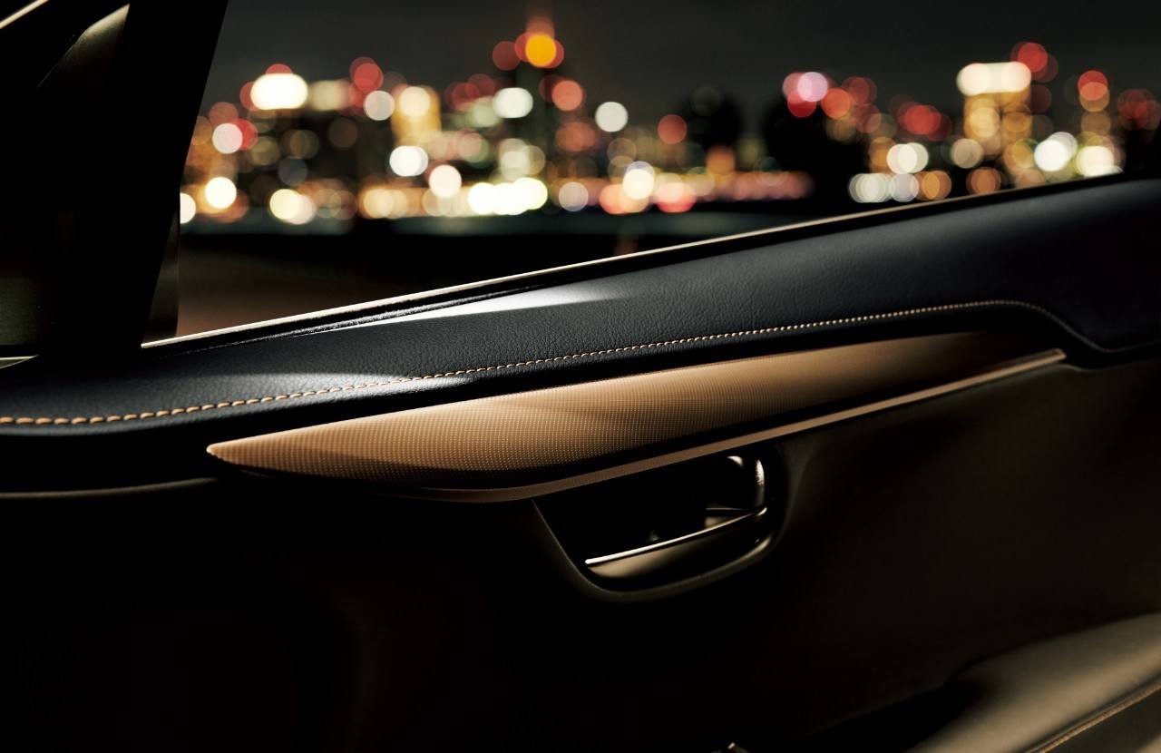 2020 - LEXUS NX BRONZE SPECIAL EDITION, foto 6